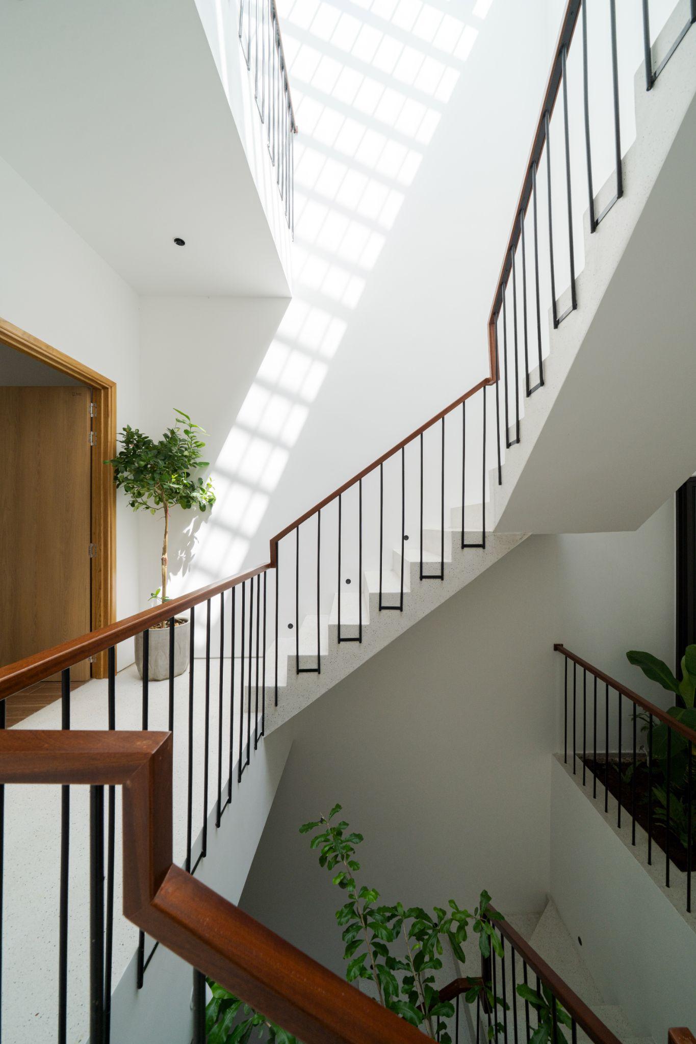 tn-house-khoang-tho-xanh-giua-long-da-nang-born-architects-24-architects_5.jpg